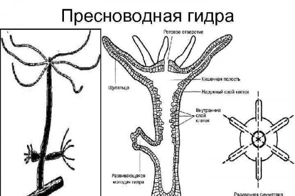 Кракен зеркало рабочее на сегодня